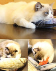 Interaktives Fischspielzeug für Katzen